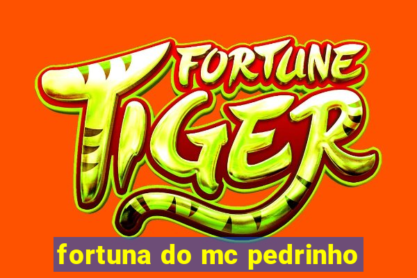 fortuna do mc pedrinho